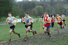 Senior boys 2019 New Balance English Schools Cross Country Champs, Temple Newsam, Leeds. Photo:  David T. Hewitson/Sports for All Pics